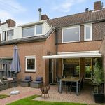 Rent 5 bedroom house of 88 m² in Heikant-West