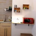 Rent 1 bedroom apartment of 20 m² in Turin