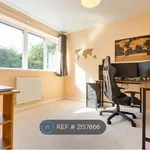 Rent 4 bedroom house in Basingstoke and Deane