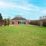 Detached bungalow to rent in Kennel Loke, Gorleston, Great Yarmouth NR31