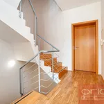 Rent 6 bedroom apartment of 250 m² in Prague