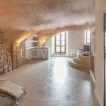 Rent 8 bedroom apartment of 350 m² in Firenze