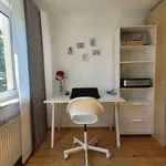 Rent 2 bedroom apartment of 55 m² in Fürth