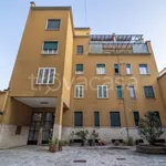 Rent 2 bedroom apartment of 50 m² in Milano