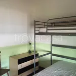 Rent 3 bedroom apartment of 65 m² in Pisa