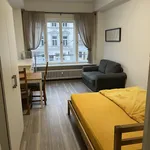 Rent 1 bedroom apartment of 33 m² in Prague