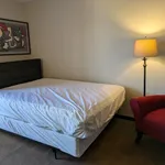 Rent 1 bedroom apartment in Downtown