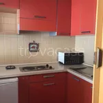 Rent 2 bedroom apartment of 35 m² in Campo Smith