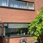 Rent 4 bedroom house of 114 m² in Architectenbuurt