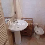 Rent 3 bedroom apartment of 70 m² in Pisa