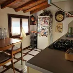 Rent 3 bedroom apartment of 102 m² in Modena