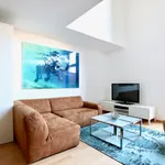 Rent 2 bedroom apartment of 58 m² in Cologne