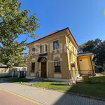 Rent 1 bedroom house of 340 m² in Ostrava