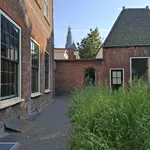 Rent 2 bedroom apartment of 40 m² in Haarlem