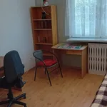 Rent 2 bedroom apartment of 47 m² in Łódź