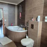 Rent 1 bedroom apartment in Stráž nad Nisou