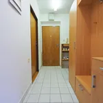 Rent 2 bedroom apartment of 51 m² in Žďár nad Sázavou