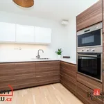 Rent 3 bedroom apartment in Praha 8