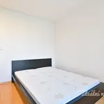 Rent 3 bedroom apartment in Brno