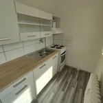 Rent 1 bedroom apartment in Teplice