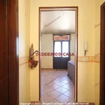 Rent 3 bedroom apartment of 80 m² in Bagheria