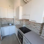 Rent 3 bedroom apartment of 55 m² in Biella