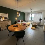 Rent 1 bedroom apartment in Deurne