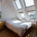 Rent 1 bedroom apartment of 68 m² in berlin