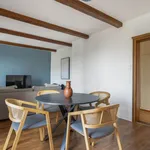 Rent 3 bedroom apartment of 75 m² in Zürich