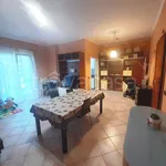 Rent 3 bedroom apartment of 75 m² in Monte Porzio Catone