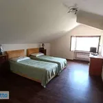 Rent 4 bedroom apartment of 95 m² in L'Aquila