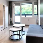 Rent 1 bedroom apartment in Děčín