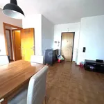 Rent 3 bedroom apartment of 85 m² in Anzio