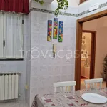 Rent 2 bedroom apartment of 60 m² in Pompei