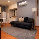 Rent 2 bedroom apartment of 55 m² in Pistoia