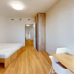 Rent 3 bedroom apartment of 92 m² in Prague