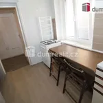 Rent 3 bedroom apartment of 100 m² in Mariánské Lázně