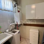 Rent 3 bedroom house of 50 m² in Viareggio