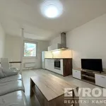 Pronajměte si 2 ložnic/e byt o rozloze 48 m² v Pilsen