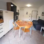 Rent 2 bedroom apartment of 55 m² in Padova