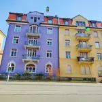 Rent 2 bedroom apartment of 38 m² in Zürich