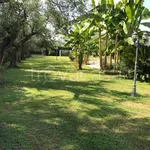 Rent 8 bedroom house of 400 m² in Pietrasanta