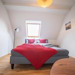 Miete 2 Schlafzimmer wohnung von 63 m² in Zwickau