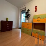 Rent 3 bedroom apartment of 63 m² in Wrocław