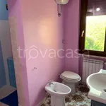 Rent 1 bedroom house of 100 m² in Cassino