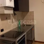 Affitto 1 camera appartamento di 35 m² in Busto Arsizio