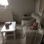 Rent 1 bedroom apartment in Saint-Gilles