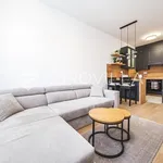 Rent 1 bedroom apartment of 34 m² in Zagreb