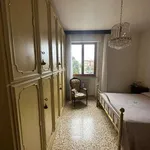 Appartamento arredato con terrazzo Centro