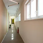 Rent 2 bedroom apartment in Hradec Králové